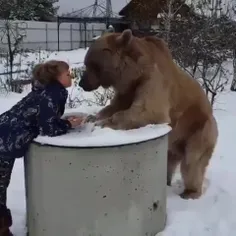 دوستی خرس و انسان