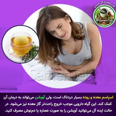 اسپاسم معده و روده بسیار دردناک است، ولی آویشن می‌تواند ب