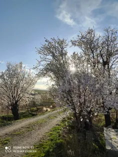 🌼🌸۱۳ بدر پیشاپیش مبارک 💮