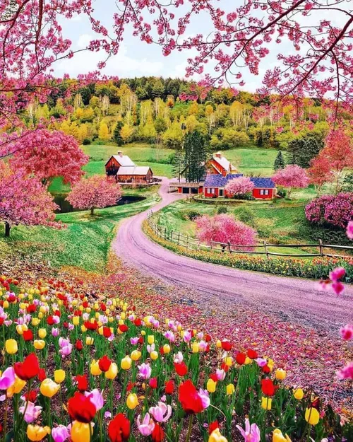 طبیعت بسیار زیبا🌺🌺🌺🌸🌸🌸