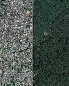 نمای هوایی از شهر مانائوس در برزیل و جنگل آمازون.