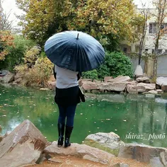 #شیراز#باغ_ارم#باران#چتر#زیبا