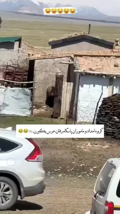 اومدن خرس بگیرن خرس اونا رو گرفت