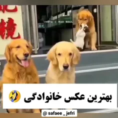 عکس خانوادگی🤗😍😜😂