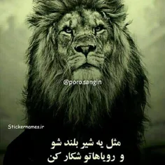 مثل شیر باش