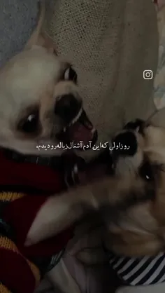 اما متأسفانه خوب پیش نرفت😂😭