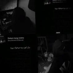 s_a_n_i_002 73097674
