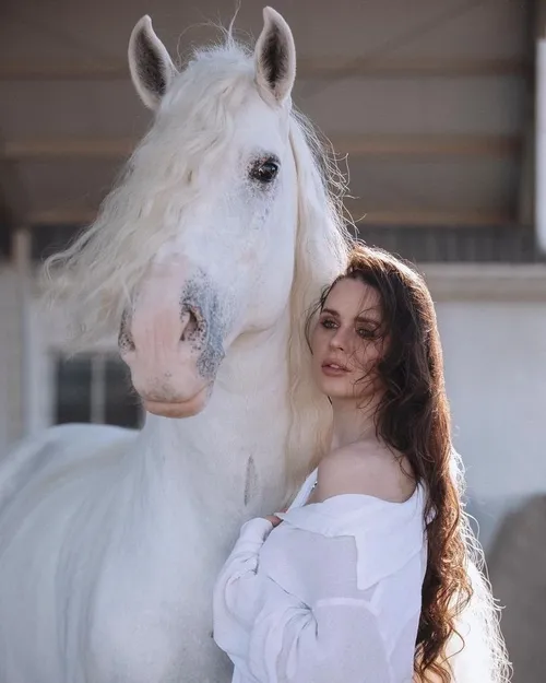 پروفایل دخترونه والپیپر دخترانه اسب سفید پروفایل اسب