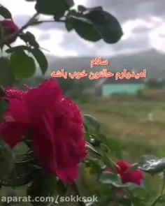 آموزش کشیدن گوش 👂 