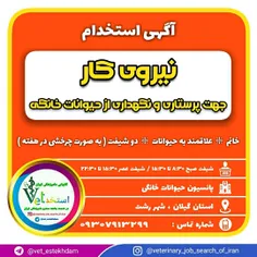 استخدام نیروی خانم جهت پرستاری و نگهداری از حیوانات در یک