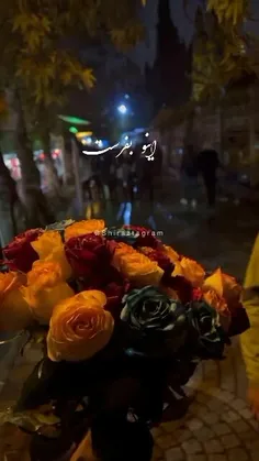 بفرست بدو دیرمیشه ها بدو