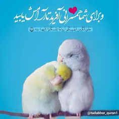 همسر از نظر پروردگار :