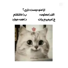 منو دوست دارین 🥺❤️