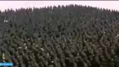 السلام علیک یابن امیرالمؤمنین علیه السلام 