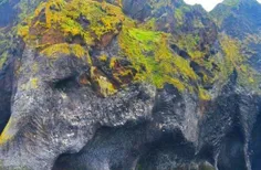 صخره ای شبیه فیل در ایسلند