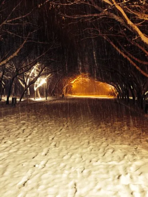بوکان پارک بانوان عکس مال پارساله اولین برف زمستانی چطوره