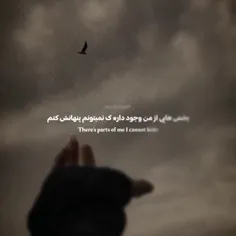 خوشومدی به بخش تاریک من 🤜😈