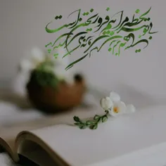 ❣بی تو هر لحظه مرا بیم فرو ریختن است 