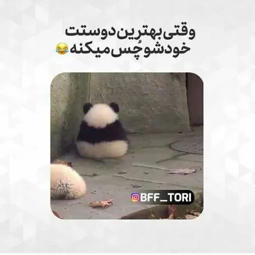 تگش کن😐😂😝 چاقاله