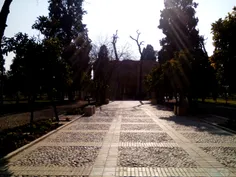 #Shiraz