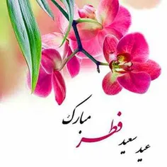 🎀🍃#زیــنـبـیــــون🍃🎀