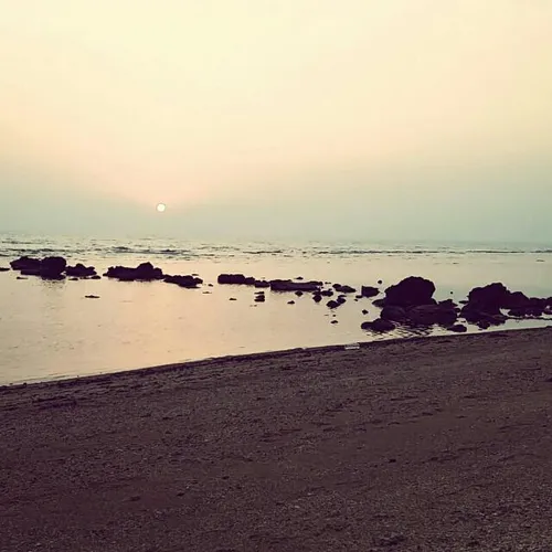 کنار دریا بوشهر