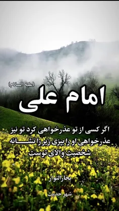 امام علی علیه السلام 