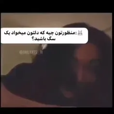 فهمیدی جئون