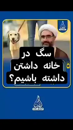 مگر نه اینکه اهل بیت هم تو خونشون  سگ داشتن!