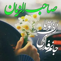 عجب این روزها 