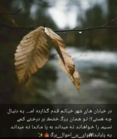 #نویسـنده_خودم🍁