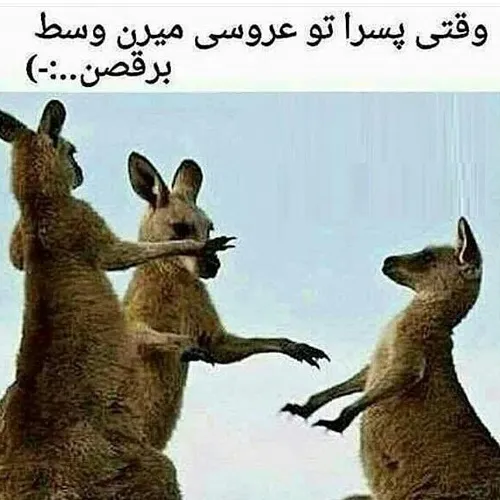 خخخخخخ