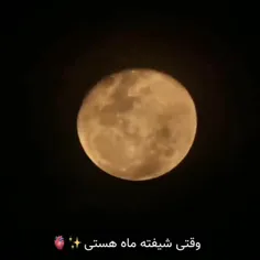 گفته بودین پست شه🤍🌛