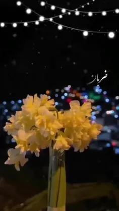 ضـربـان قـلـب من یـا مـهدی♥