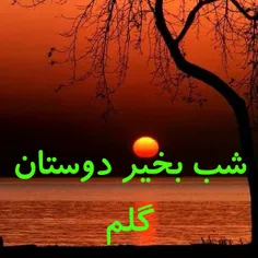 شب بخیر...