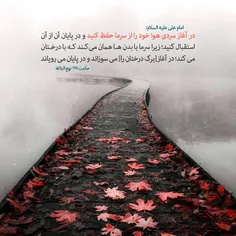 امام على عليه السلام: 