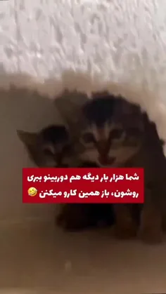 پیشول😻😹😽