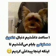 وای خدا چقدر خندیدم 😅