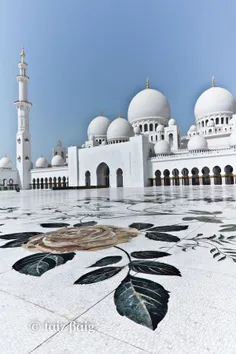 مسجد شیخ زیاد