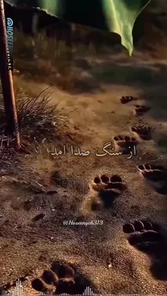 از سنگ صدا امد از أهل صدا نه#این الطالب بدم المقتول بکربل