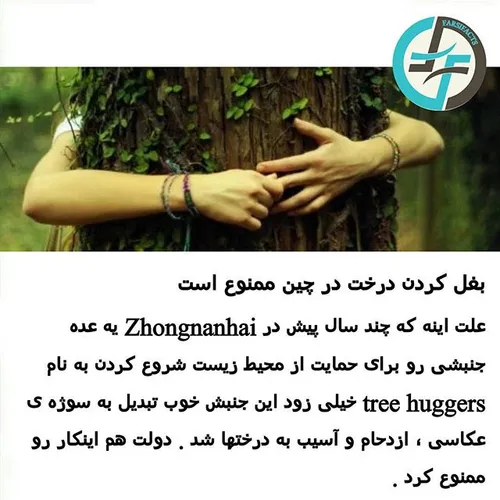 درخت طبیعت china treehuggers naturefarsifacts