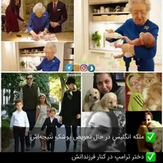 
👈 برای ایرانیان توله سگ‌‌‌، برای اونها نوه و نتیجه!