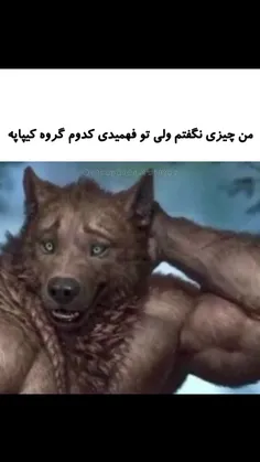 من چیزی نگفتم ولی تو فهمیدی😔