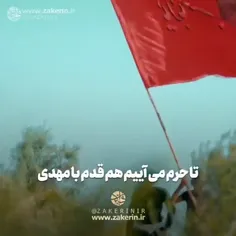 بوی بهشت می وزد از سمت و سوی کربلا 