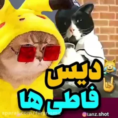 دیس برای فاطی🤣🗿