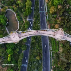 پل طبیعت تهران در دو فصل متفاوت