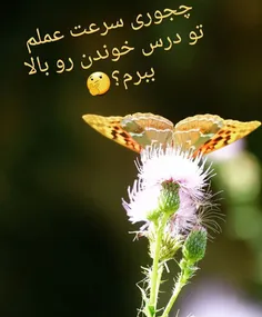 برای #کنکوری_ها 👇  