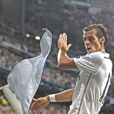 BALE