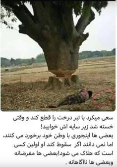 💯 بعضی اینجوی با #وطن برخورد می‌کنند...