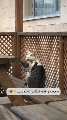 ای جونم 🥺